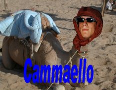 scammaello.jpg